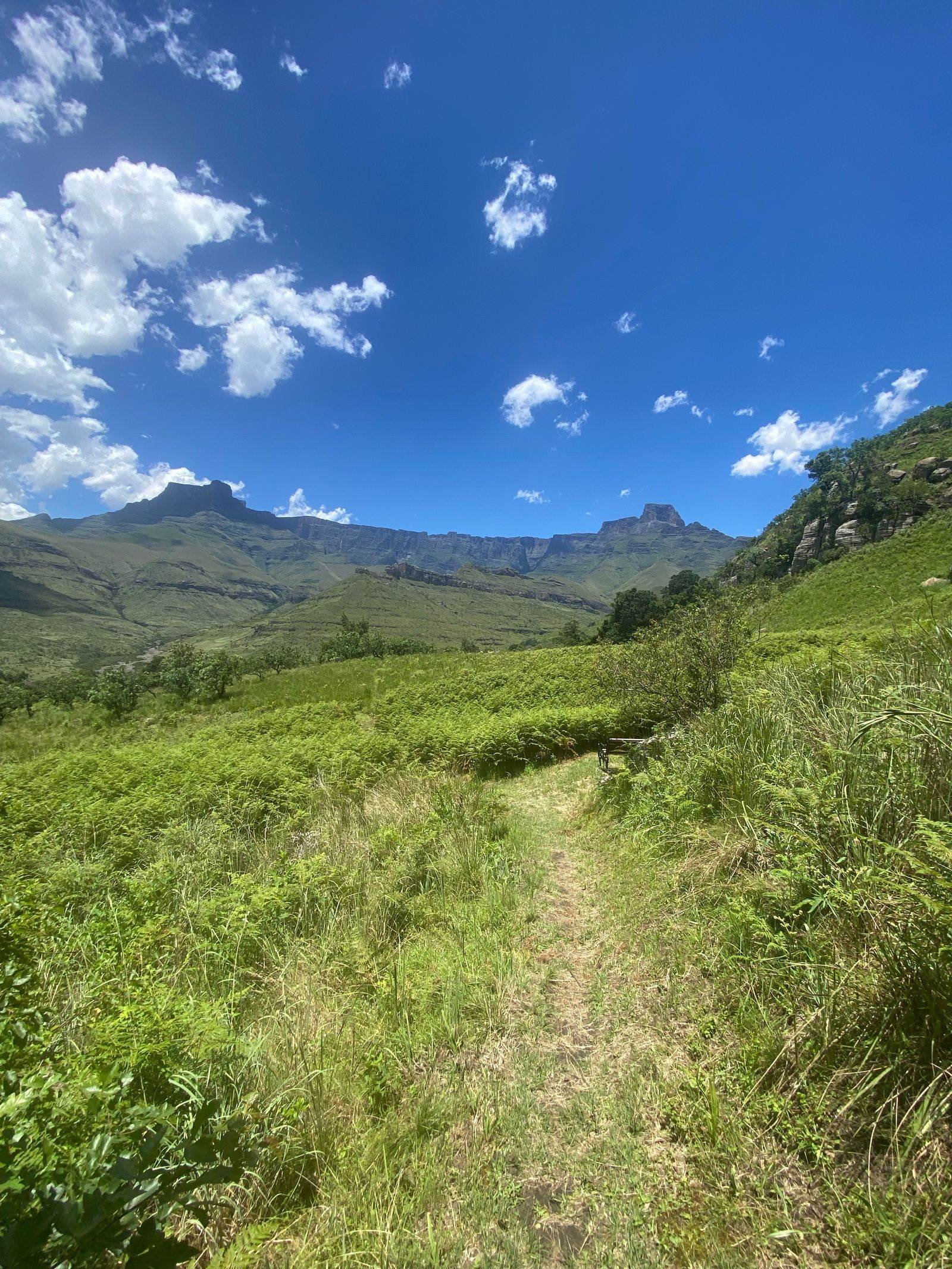 A mountain path through the foothills of the Drakensberg