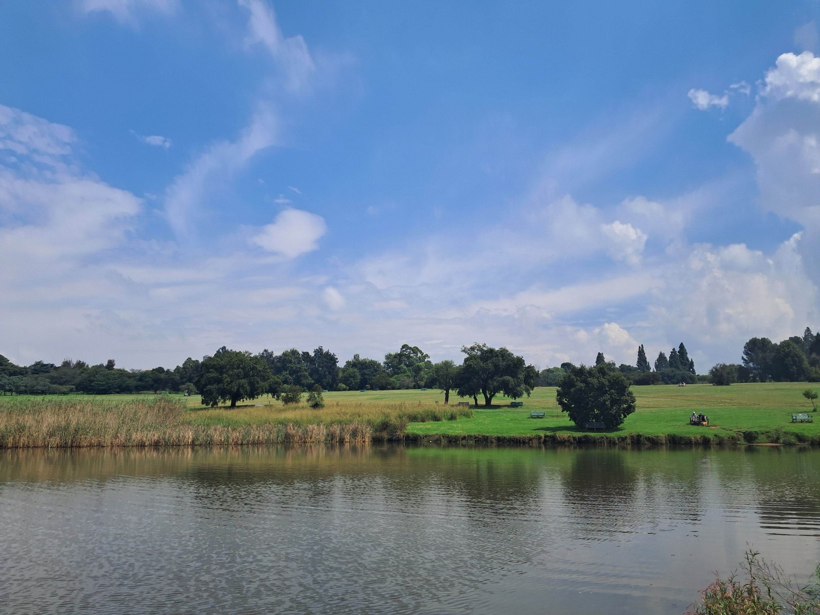 A landscaped park with a pond and open lawns, Randburg, Johannesburg